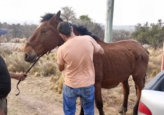 Más de 100 productores afectados por los incendios recibieron asistencia del Gobierno